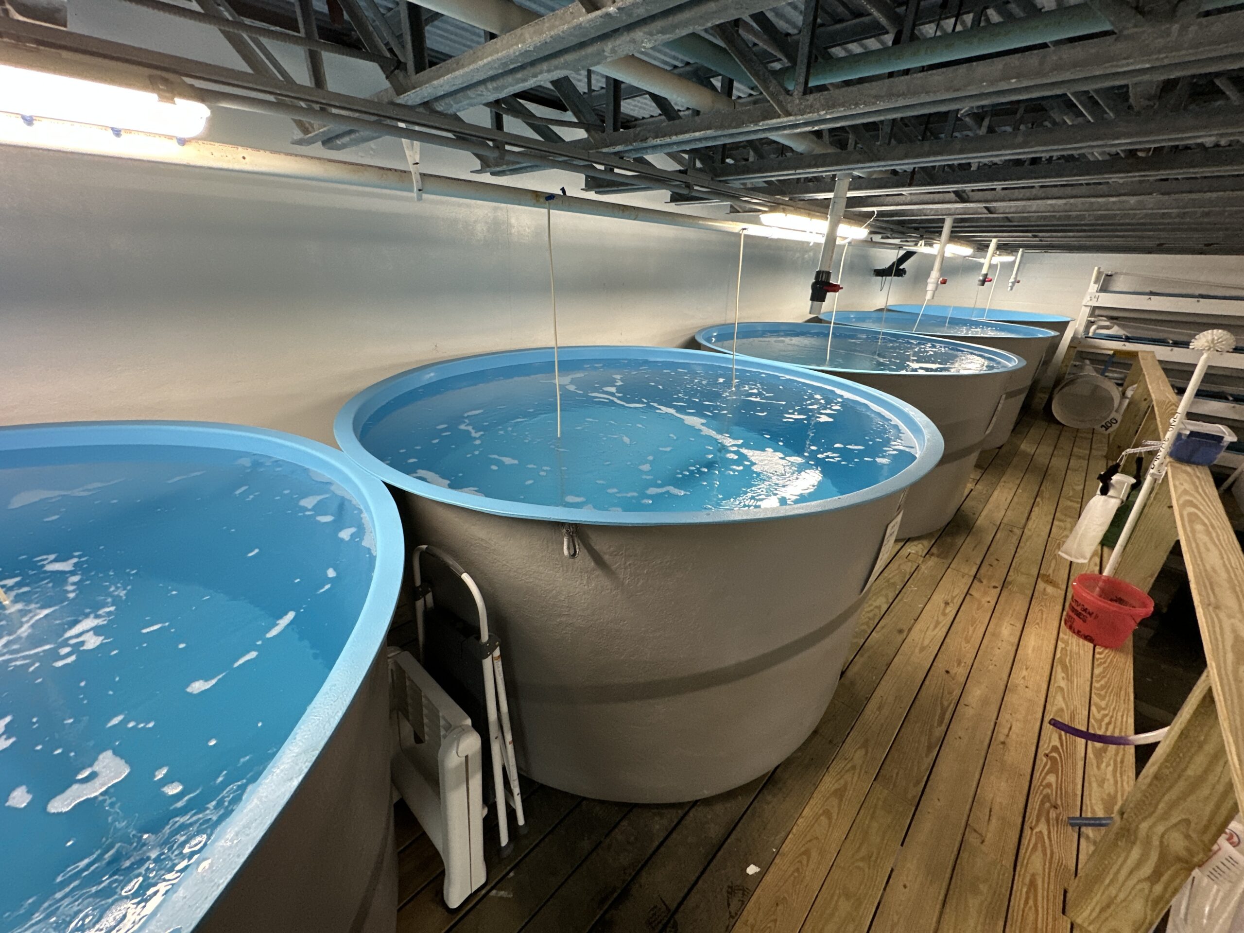 Aquaculture Solutions