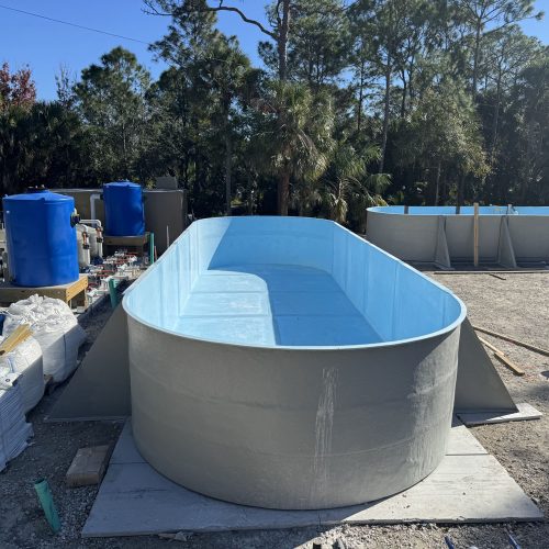 Larva Aquaculture Tanks in Florida